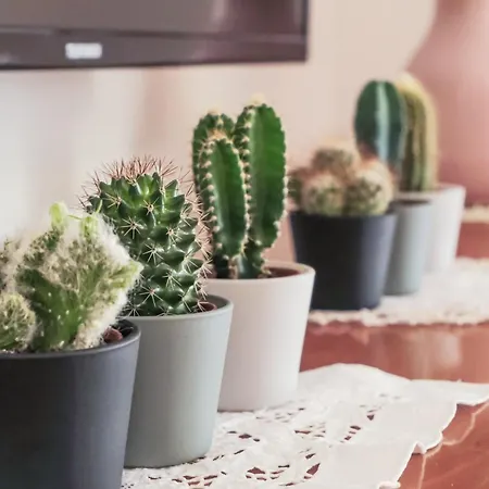 Ca'molino Ampio Con Giardino Privato Vicino Al Centro Storico Fiera Ospedale Stazione Aeroporto Centergross Апартаменты *