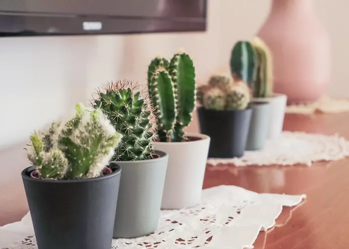 Ca'molino Ampio Con Giardino Privato Vicino Al Centro Storico Fiera Ospedale Stazione Aeroporto Centergross Appartement *